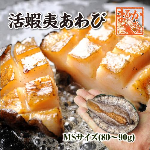 活 蝦夷あわび 80〜90g MSサイズ[あわび]（入数:5枚 ★）