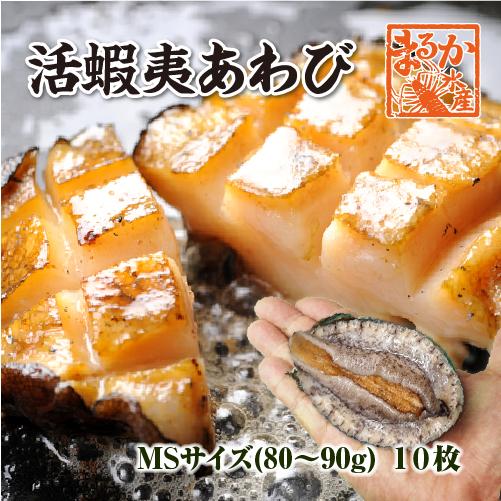 活 蝦夷あわび 80〜90g MSサイズ[あわび]（入数:10枚 ★）