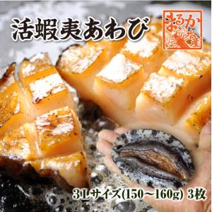 活蝦夷あわび 150ｇ〜160ｇ　3枚[あわび]