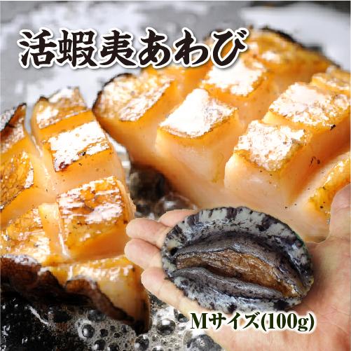 活 蝦夷あわび 100g Mサイズ [あわび]（入数:1枚）