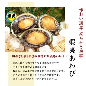 活 蝦夷あわび 100g Mサイズ [あわび]...の詳細画像1