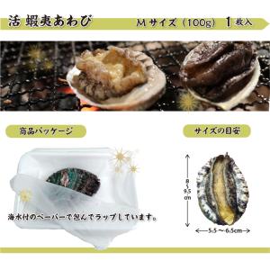 活 蝦夷あわび 100g Mサイズ [あわび]...の詳細画像2