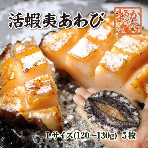 活 蝦夷あわび 120〜130g Lサイズ[あわび]（入数:5枚 ★）