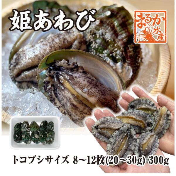 姫あわび 20g〜30ｇ 8〜12枚 300g [あわび]