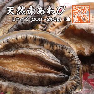 天然赤あわび（メガイアワビ）Lサイズ 200〜240g　1枚