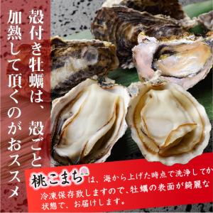 □冷凍 殻付牡蠣「桃こまち」加熱用 Mサイズ ...の詳細画像3