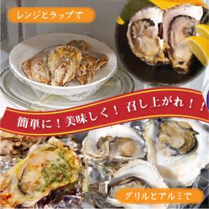 □冷凍 殻付牡蠣「桃こまち」加熱用 Mサイズ ...の詳細画像4
