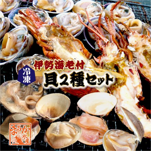 海鮮バーベキュー 伊勢海老付き 貝2種セット/伊勢海老2・はまぐり10・大アサリ半割1kg・特製タレ...