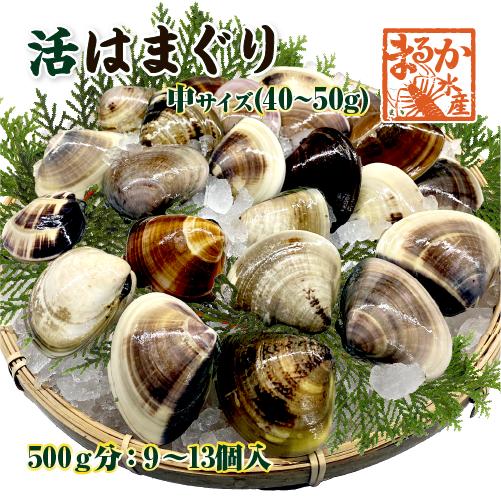 活はまぐり 中サイズ 40〜50g 国産 [はまぐり]（入数：9〜13個 500g入）