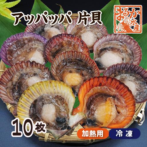 冷凍 アッパッパ片貝（ひおうぎ貝） 10枚 [桧扇貝]