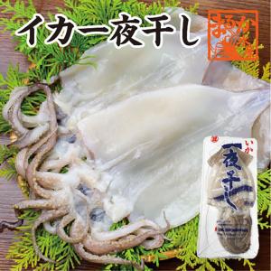 イカ一夜干し 2枚入（冷凍）[一夜干し]