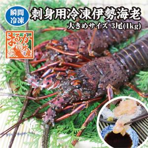 ジャンボ伊勢海老 1尾 1.2kg超 : ナカトー - 通販 - Yahoo