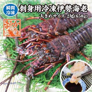 　刺身用冷凍伊勢海老　大きめサイズ　650ｇ　2尾入　　[伊勢海老]（活〆冷凍）