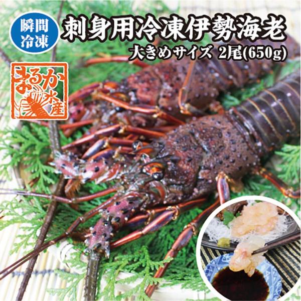 刺身用伊勢海老 凍眠冷凍 大きめサイズ 2尾入 650g ★[刺身用伊勢海老]