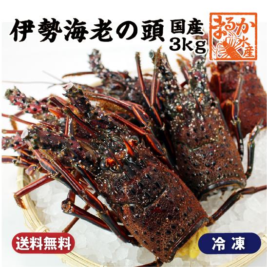 冷凍 伊勢海老の頭（国産）約3kg　[伊勢海老]
