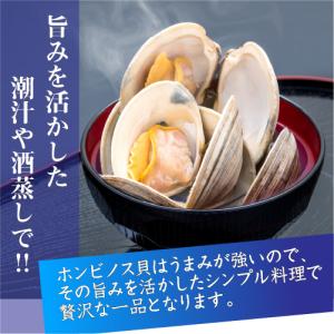 活 ホンビノス貝 大サイズ(6〜8個)(入数:...の詳細画像5