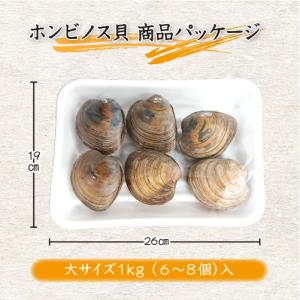 活 ホンビノス貝 大サイズ(6〜8個)(入数:...の詳細画像2