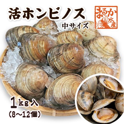 活 ホンビノス貝 中サイズ（8〜12個）（入数:1kg入 [貝類]）