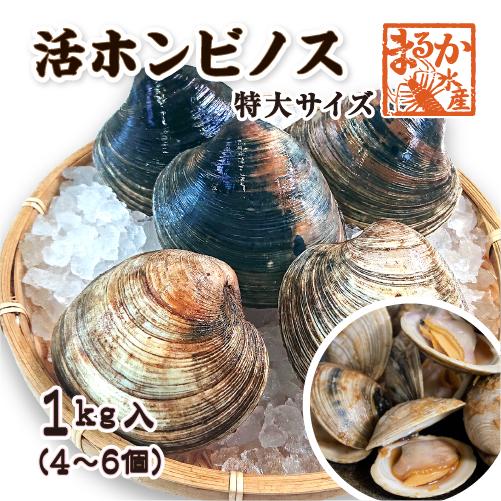 活 ホンビノス貝 特大サイズ（4〜6個）（入数:1kg入 [貝類]）
