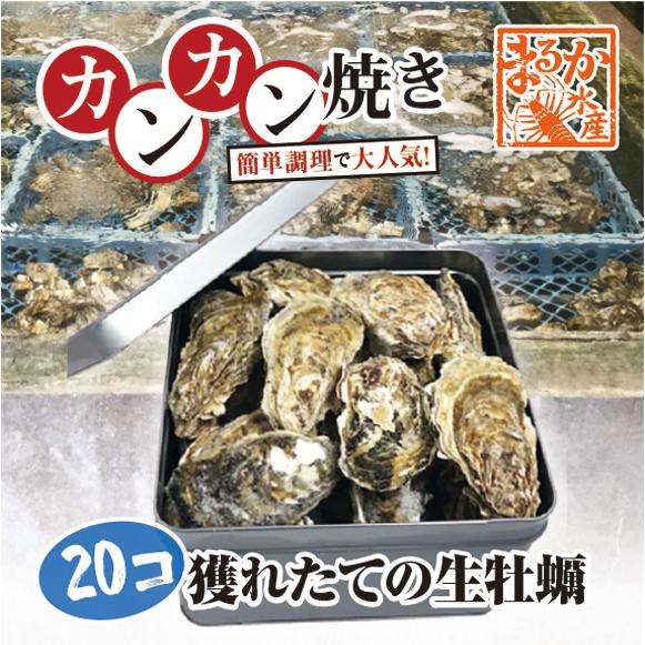 牡蠣のカンカン焼き 「桃こまち」20個入 軍手・ナイフ付[牡蠣]