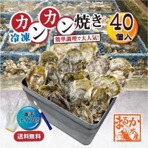 【冷凍・カンカン焼き】桃こまち 40個（ナイフ・軍手付）[牡蠣]