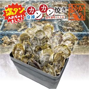 牡蠣「桃こまち」　カンカン満タン焼き 冷凍[牡蠣]