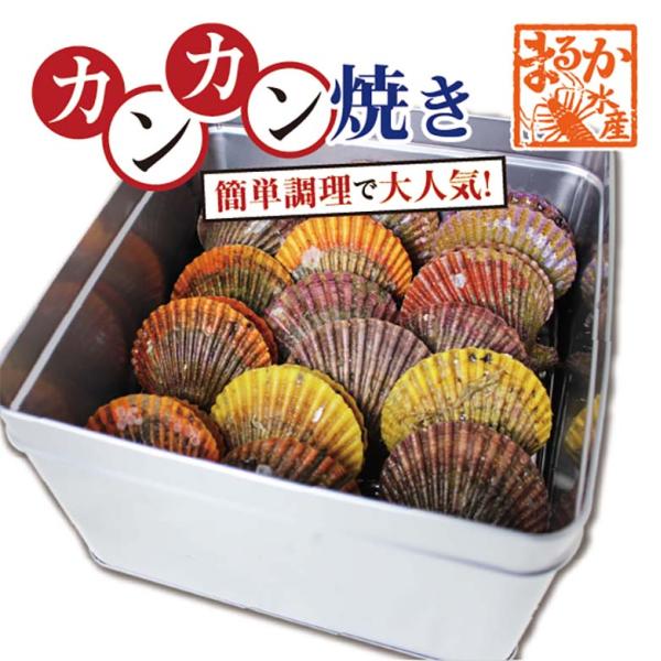アッパッパでカンカン焼き 三重県産 16個 [桧扇貝]