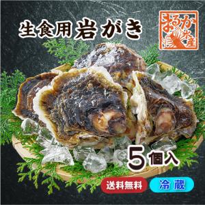 生食用 岩がき Lサイズ(250/300g）5個（軍手・ナイフ付）★[イタボ牡蠣]