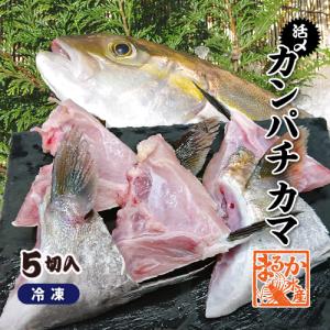 冷凍 活〆カンパチ カマ 国産(養殖)　5個セット[冷凍鮮魚]｜isemaruka