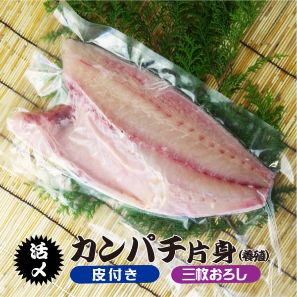 活〆カンパチ 片身 捌いてお届け！ 三枚おろし 皮付き 3.5〜4.0kgサイズの半分（養殖）[魚介...
