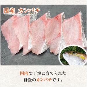 □冷凍 骨無し切り身選べるセット 10切×3パ...の詳細画像4