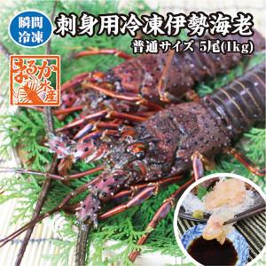 刺身用伊勢海老　活〆　180ｇ〜220ｇ　5尾　[凍眠冷凍伊勢海老]