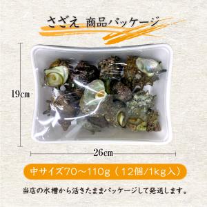 天然活 さざえ 中サイズ 1kg 12個 70...の詳細画像3