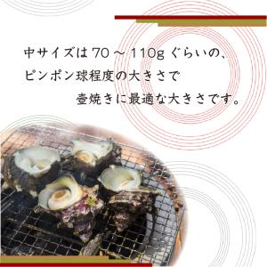 天然活 さざえ 中サイズ 1kg 12個 70...の詳細画像2