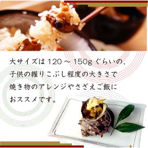天然活 さざえ 大サイズ 1kg 8個 120...の詳細画像3