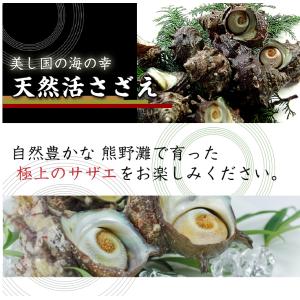 天然活 さざえ 大サイズ 1kg 8個 120...の詳細画像1