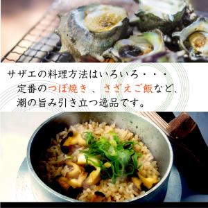 天然活 さざえ 大サイズ 1kg 8個 120...の詳細画像5