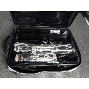 Buffet Crampon ClariMate クラリメイト 51XrcFwzWiL._AC_UL210_SR210,