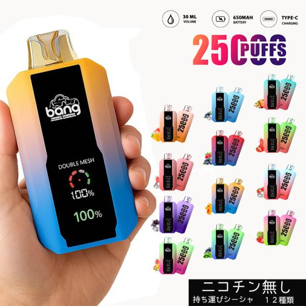 持ち運び シーシャ 電子タバコ 使い捨て 25000回吸引可能 大容量 ニコチンフリー Vape ベ...