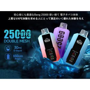 電子タバコ ベイプ 使い捨て 最大25000回...の詳細画像1