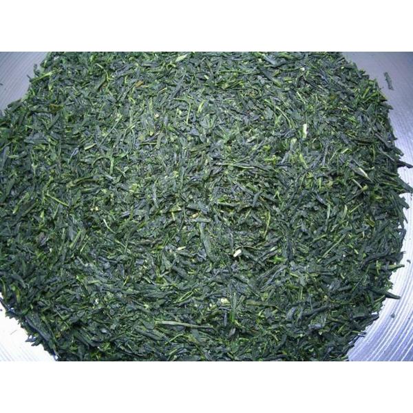 お茶 専門店の 蔵出し かぶせ茶 (かぶせ茶) 500g x3袋セット 送料無料