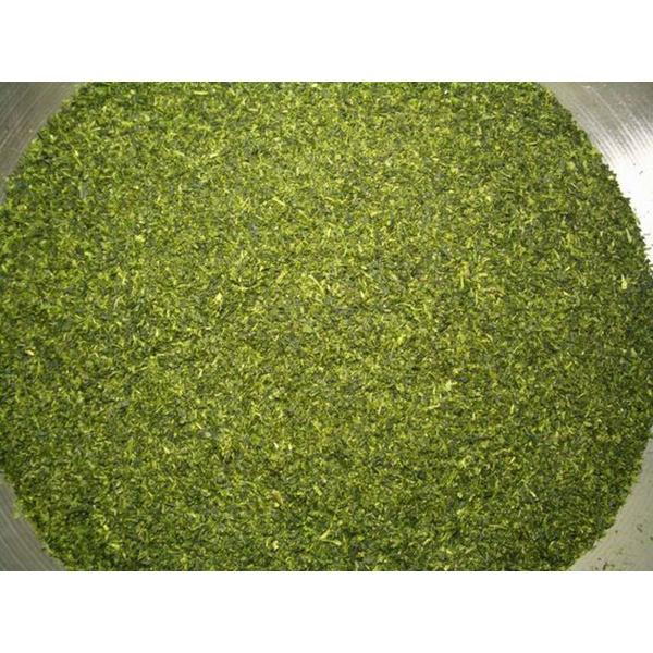 お茶 専門店の 蔵出し 玉露粉 (粉茶) 500g 送料無料