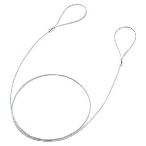 SANWA SUPPLY（サンワサプライ） eセキュリティ（ワイヤー、1.0m・2.2mm） SLE-11W-1