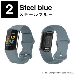 fitbit charge 6 バンド fit...の詳細画像2
