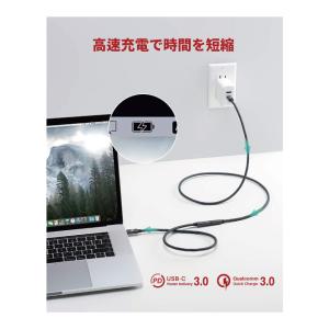 typec 延長ケーブル typec 延長コー...の詳細画像2