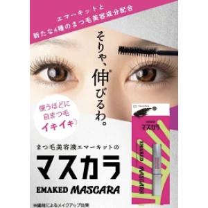 正規品保証 水橋保寿堂 エマーキットマスカラ ...の詳細画像1