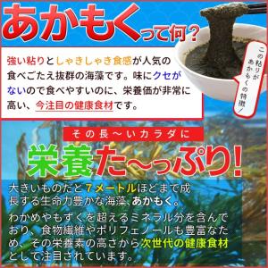 伊勢志摩産 あかもく粉末 100g メール便送...の詳細画像2