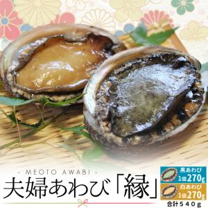 三重県 伊勢志摩産 海女漁 夫婦 活 あわび 大サイズ２個で５４０ｇ （黒アワビ２７０ｇ１個、白アワビ２７０ｇ１個） 送料無料 夏季限定 夫婦あわび