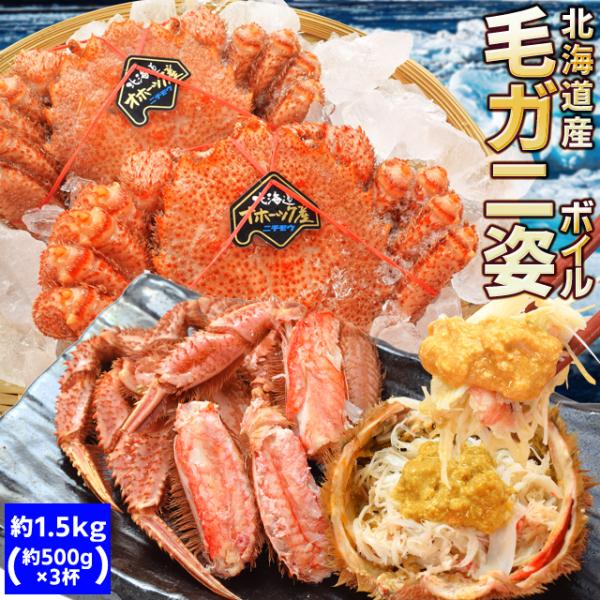 毛ガニ 姿 ボイル ３尾 約１．５ｋｇ（約５００ｇ×３杯） 北海道 ブランドタグ付 毛蟹 毛がに 冷...