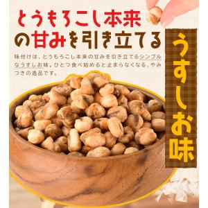 揚げとうもろこし 400g うすしお味 おやつ...の詳細画像3